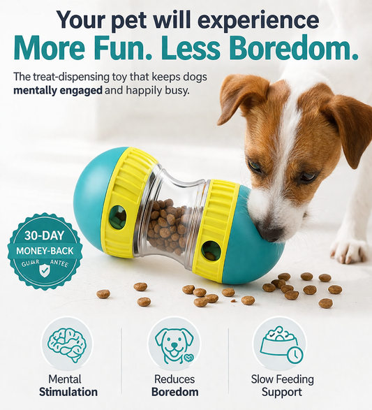 IQ Dog Toy