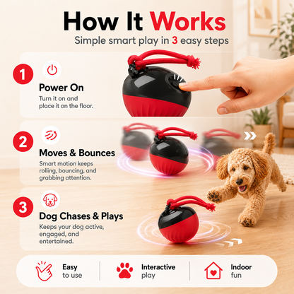 WagBall™
