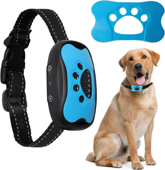 QuietPaw Collar