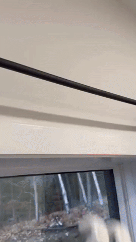 SMART CURTAIN CONTROL